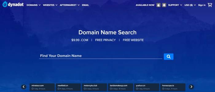 Dynadot Domains Review