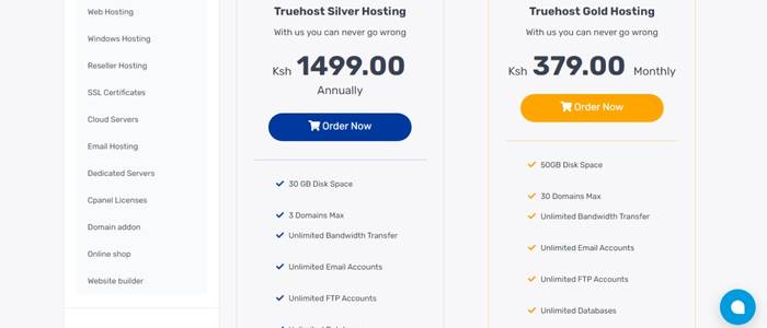 Truehost Hosting Review