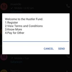 hustler fund application procedure 2