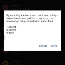 hustler fund application procedure 3