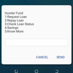hustler fund application procedure 5