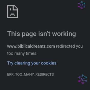 domain redirected you too many times