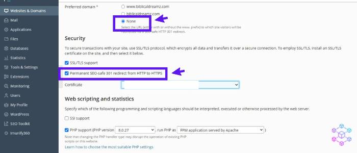 How to fix the ERR_TOO_MANY_REDIRECTS on Plesk