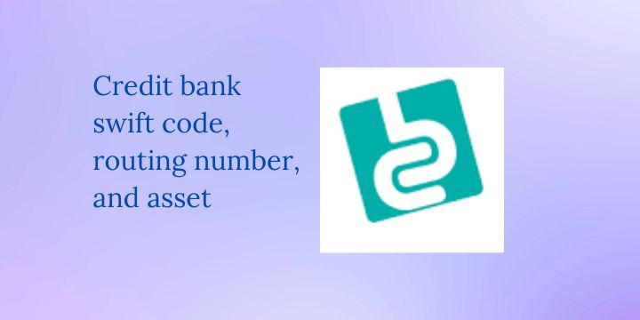 Credit bank swift code, routing number, and asset