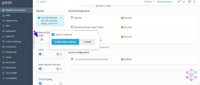 How to fix the ERR_TOO_MANY_REDIRECTS on Plesk