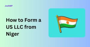 How to Form a US LLC from Niger