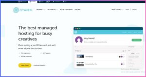 Flywheel Web Hosting Review