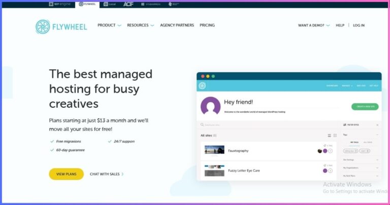 Flywheel Web Hosting Review