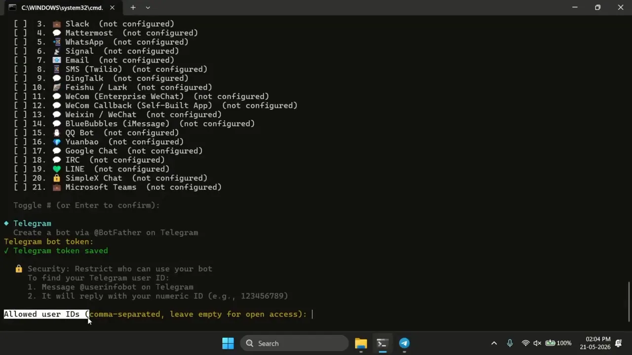 Hermes Agent provider and Telegram configuration displayed in a Windows terminal