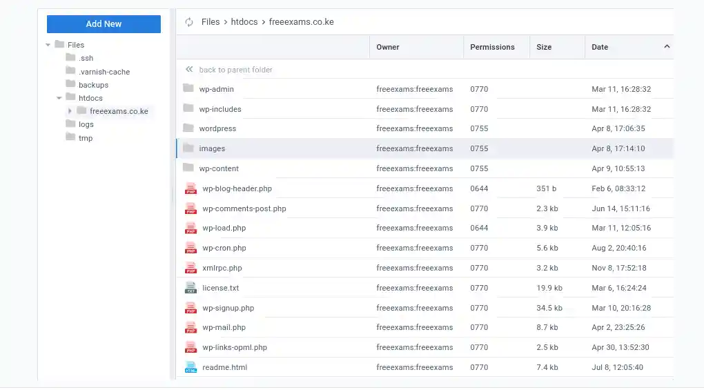 CloudPanel file manager showing the FreeExams WordPress file structure