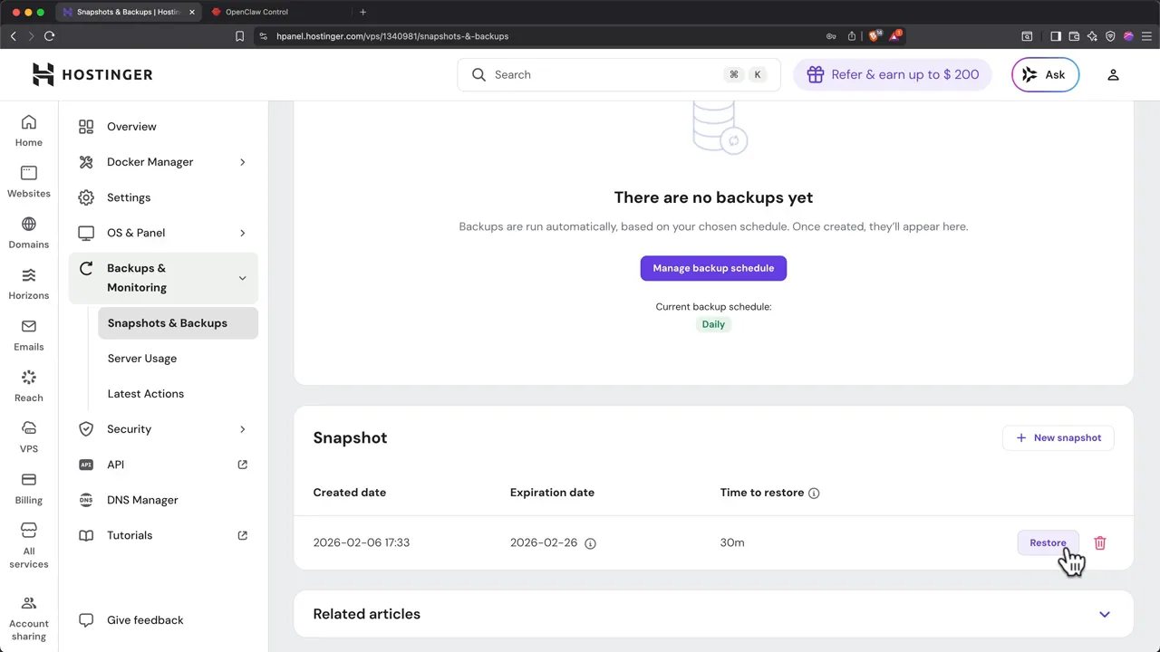 Hostinger Docker Manager showing an OpenClaw project and backup controls